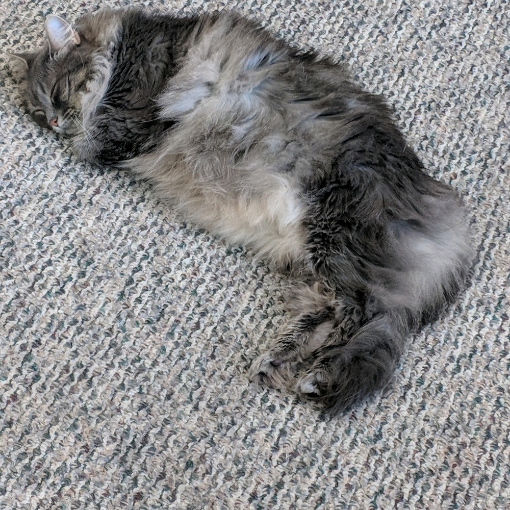 Meet your Posher, Emily